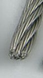 Stainless Steel Wire